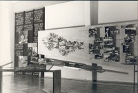 "Museum des antifaschistischen Freiheitskampfes der europäischen Völker" (1961), Abteilung: Tschechoslowakei