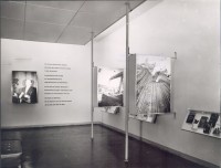 Letzter Raum des "Lagermuseums" (1961)